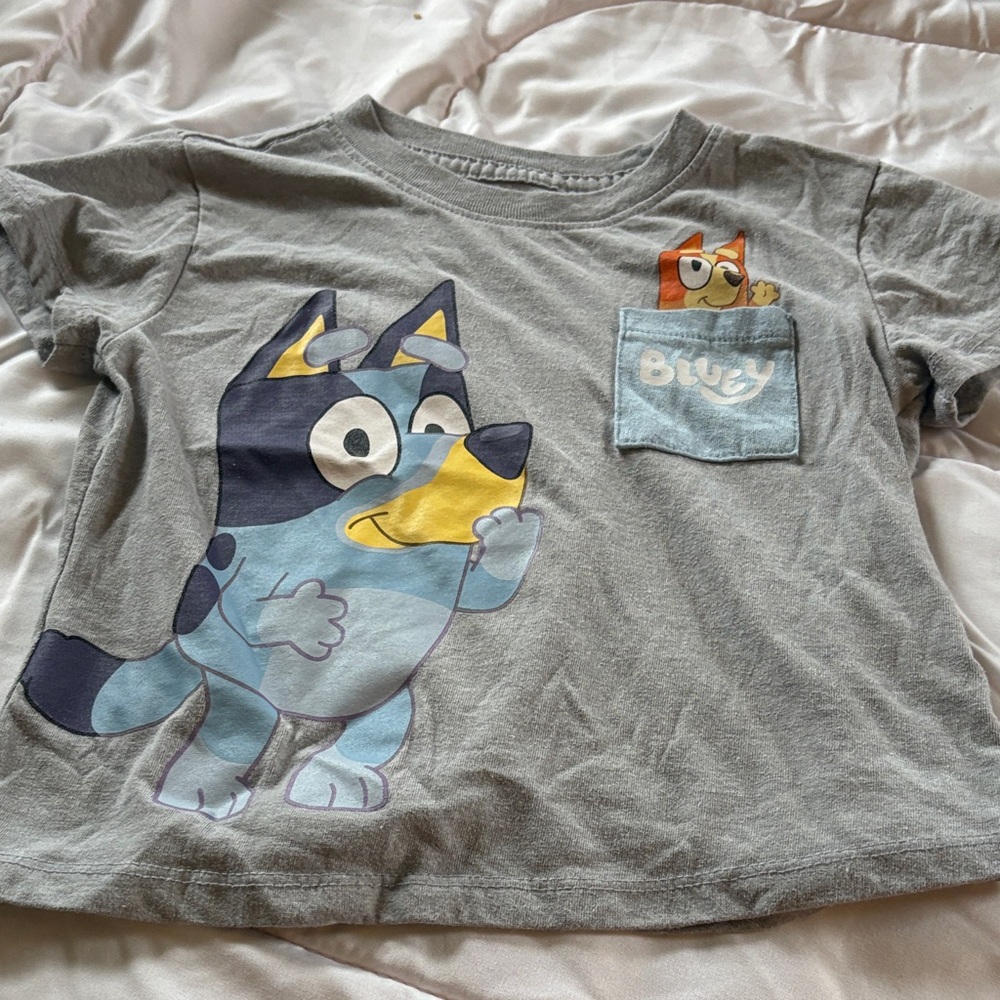 Boys' Grey Graphic Tee with Pocket